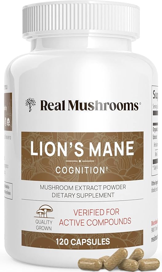 Lion's Mane Mushroom Extract